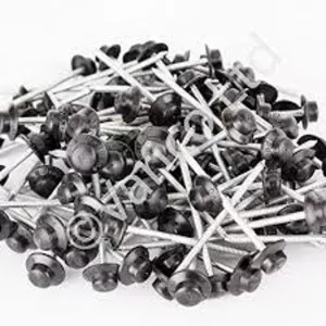 Onduline Capped Nails (Bag of 100)